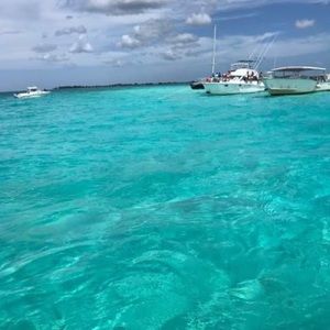 Meet your Posher, Janie